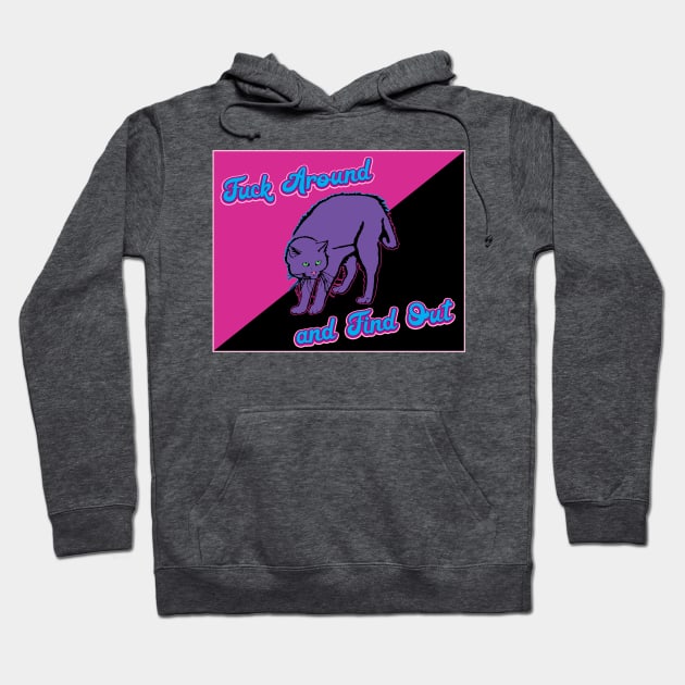 Queer Anarchism - F__k Around and Find Out Hoodie by BeSmartFightDirty